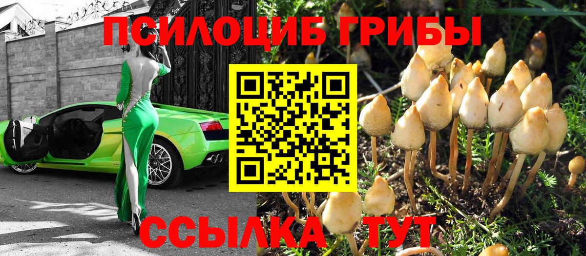 Салехард  Псилоцибиновые грибы мицелий  Вход с VPN  Галлюциногенные грибы Psilocybe 