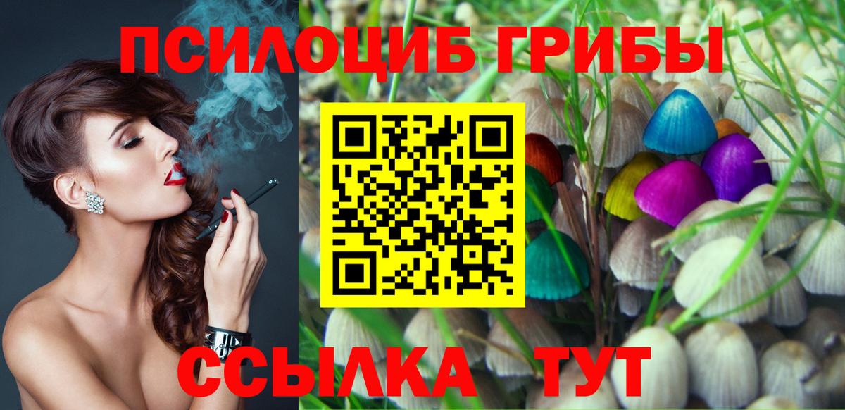Галлюциногенные грибы Cubensis Салехард